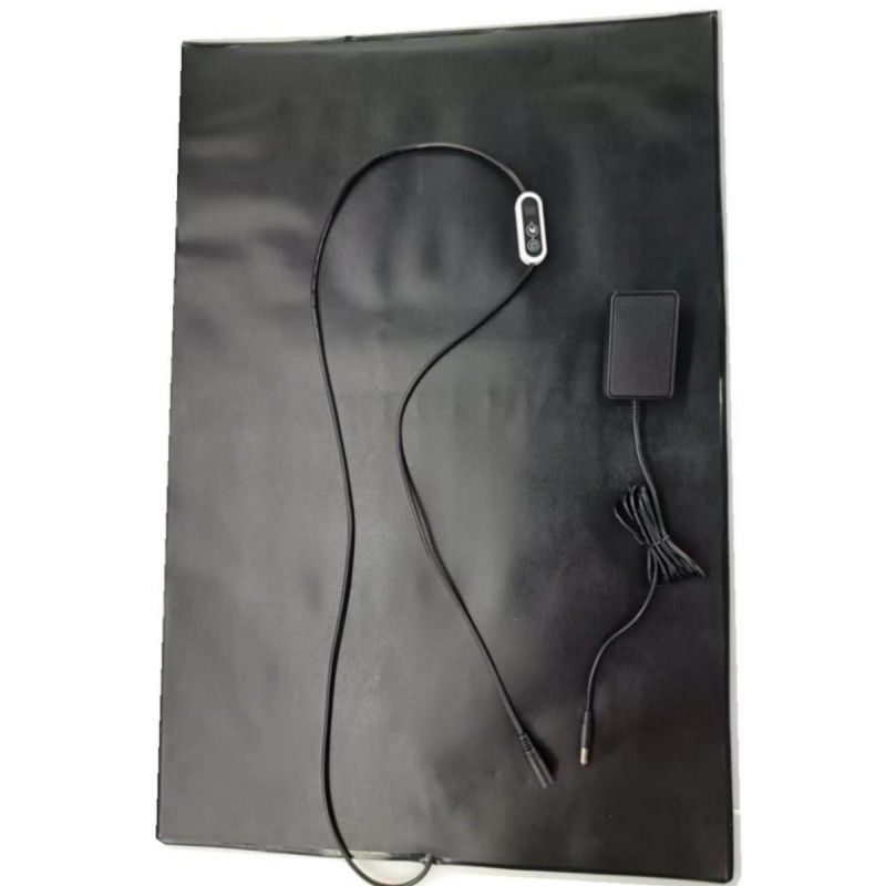 PVC Pet Heat Mat 12V Pad de aquecimento 60x40cm com controlador de temperatura para cão gato