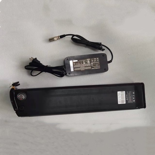 Bateria de Lítio de Peixe Prateado 48V 25Ah comprimento 630mm com carregador para E Bike