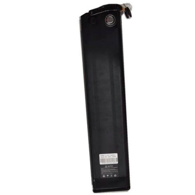 Bateria de Lítio de Peixe Prateado 48V 25Ah comprimento 630mm com carregador para E Bike