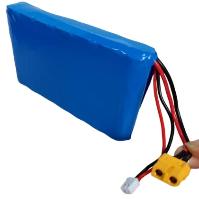 Pacote de bateria personalizado 7s1p 18650 24V 3500mAh Para motor de 350W com plugue Xt60